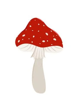 Red Fly Agaric Mushroom Vector Illustration Illustrazione stock