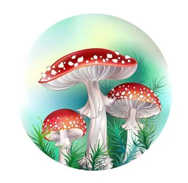Red fly agarics in circle Stock Illustration