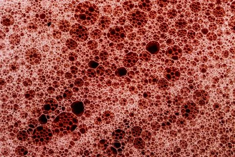 Red foam background macro Stock Photos