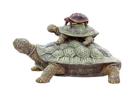 Red footed tortoise on top Stock Photos