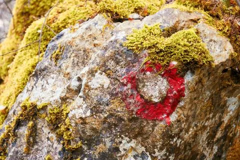 Red footpath marker sign on the hacking road on a moss-covered stone Stock Photos