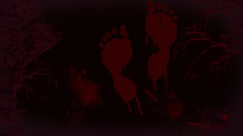 Red footprints trail on dark textured background with blood splatter Stockbeeldmateriaal 345103096
