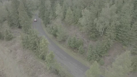 Red Ford Mustang Mach E4X in Nature Video stock 217672958