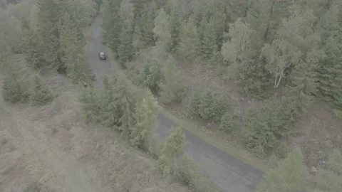 Red Ford Mustang Mach E4X in Nature Video stock 217672959