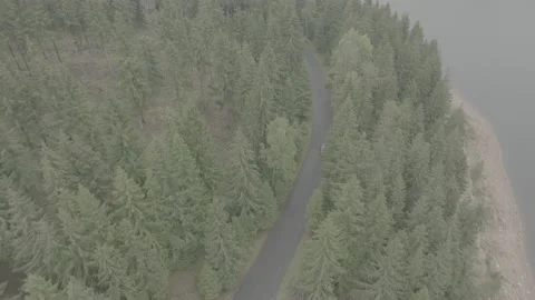 Red Ford Mustang Mach E4X in Nature Video stock 217673012