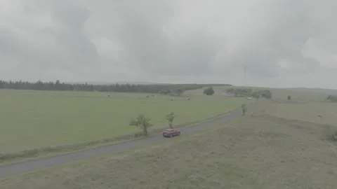 Red Ford Mustang Mach E4X in Nature-D-Log Video stock 219249027