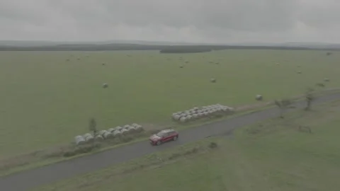 Red Ford Mustang Mach E4X in Nature-D-Log Video stock 219249028