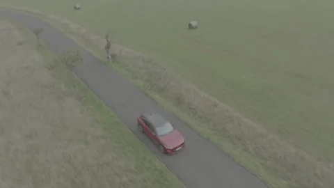 Red Ford Mustang Mach E4X in Nature-D-Log Video stock 219249029