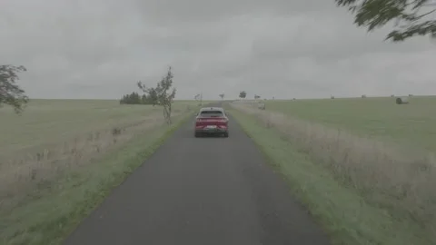 Red Ford Mustang Mach E4X in Nature-D-Log Video stock 219249055