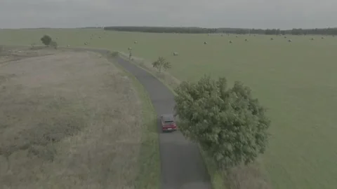 Red Ford Mustang Mach E4X in Nature-D-Log Video stock 219249057