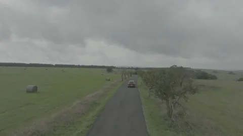 Red Ford Mustang Mach E4X in Nature-D-Log Video stock 219249066