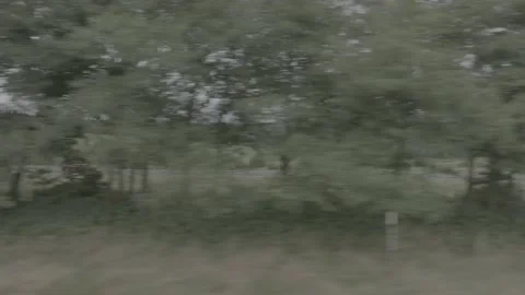 Red Ford Mustang Mach E4X in Nature-D-Log Video stock 219249074