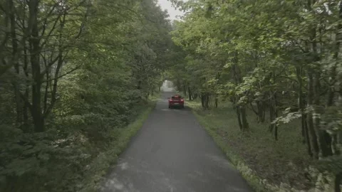 Red Ford Mustang Mach E4X in Nature-D-Log Video stock 219249076