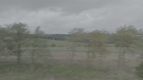 Red Ford Mustang Mach E4X in Nature-D-Log Video stock 219249084