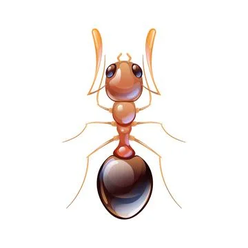 Red forest ant, macro of insect. Pest control Stock Illustration