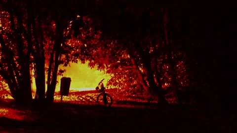 Red Forest with Bicycle 스톡 동영상 238789348