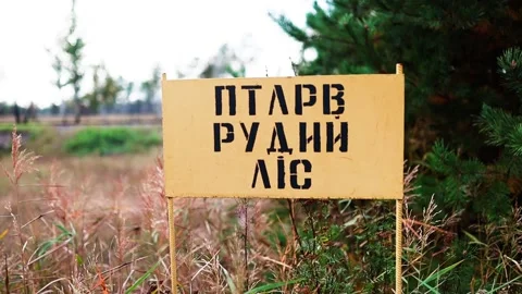 The Red Forest In Chernobyl Warning Sign, Restricted Access Stock Footage 171598087