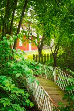 Red forest cottage 写真素材