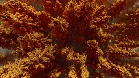 Red forest top view Illustrazione stock