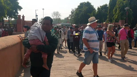 Red Fort Agra Stock Footage 304577412