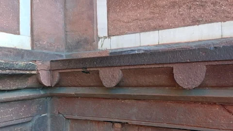 Red Fort Agra Stock Footage 304580985