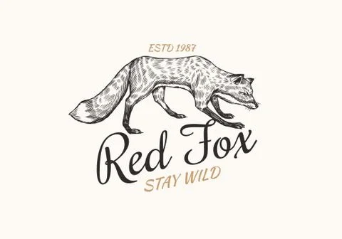 Red fox badge. Forest ginger wild animal label or logo. Vector Engraved hand Stock Illustration