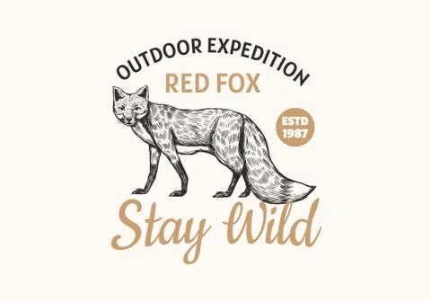 Red fox badge. Forest ginger wild animal label or logo. Outdoor expedition Stock Illustration