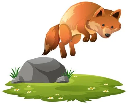 Red Fox Leaping Over Rock on Grass Patch Ilustración de archivo