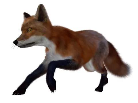 Red fox running - 3D render Stock Illustration