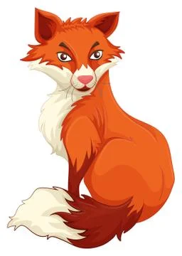 Red fox sitting on white background Stock Illustration