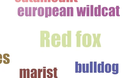 Red Fox Word Cloud Animated Isolated On White Stock Footage 103665770