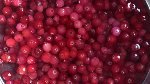Red fresh cranbierry background and texture, close up Stock Footage 154082162