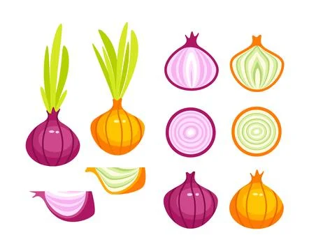 Red fresh onion set half, slice and whole. Stock-Illustration