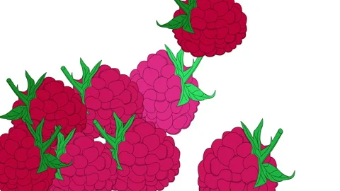 Red fresh raspberry falling. Background animation. Stock Footage 153629536