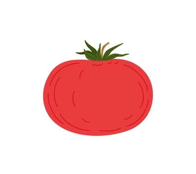 Red fresh tomato vegetable simple hand drawn vector illustration, organic hea Illustrazione stock