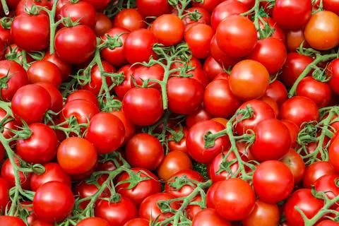Red fresh tomatoes Stock Photos