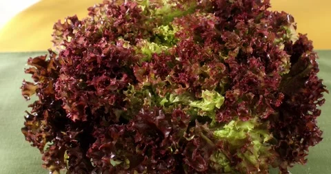 Red frilly lettuce on table. Close up. Zoom in. Smooth movement. Stock Footage 243912706
