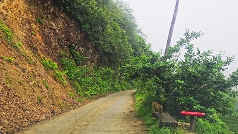 A red frisbee on the. Stock Footage 282840373