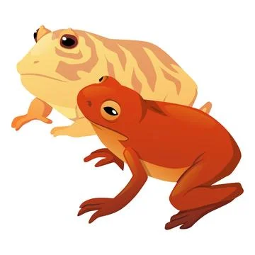 Red frog and yellow striped toad icon, terrarium pet. Stock Illustration