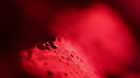 Red fruit foam on a dark red background, bright warm light, Stock Footage 280775009