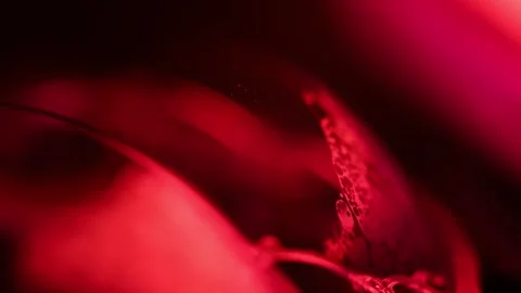 Red fruit foam on a dark red background, bright warm light Stock Footage 280775151