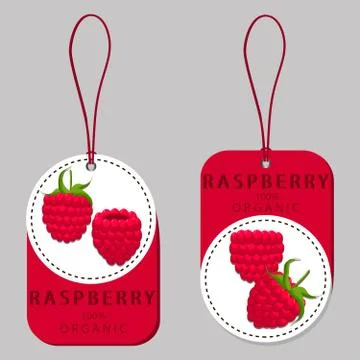 Red fruit raspberry Stock Illustration
