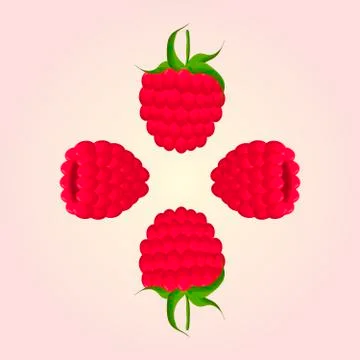 Red fruit raspberry Stock Illustration