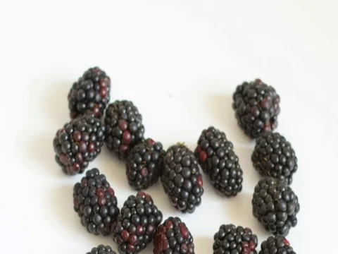 Red fruits dolly shot Stock Footage