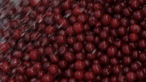 Red Fruits Stock Footage 121979432