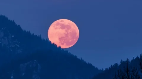 Red full moon setting down in forest mountains in blue evening nature Time lapse Stock Footage 106005782