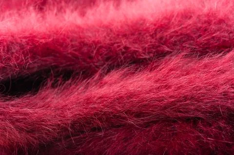 Red fur texture Stock Photos