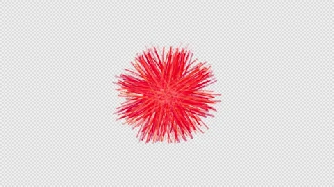 A red fuzzy pom pom Stock-Footage 331284406