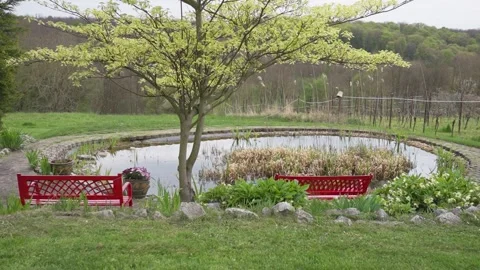 Red garden benches under a blooming tree by a small pond in spring Stock Footage 314930782