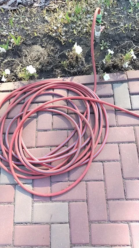 Red garden hose coiled on brick pathway with green nozzle and flower bed in Stock Footage 345858181